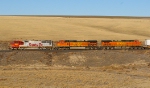 BNSF 8206 West